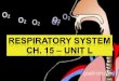 15-1. 15-2 What Is Respiration ? RESPIRATION – The process of allowing gas exchange. The respiratory system works with the cardiovascular system to exchange