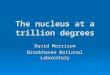 The nucleus at a trillion degrees David Morrison Brookhaven National Laboratory