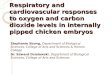 Respiratory and cardiovascular responses to oxygen and carbon dioxide levels in internally pipped chicken embryos Stephanie Sbong, Department of Biological
