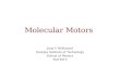 Molecular Motors Jean V Bellissard Georgia Institute of Technology School of Physics Fall 2015