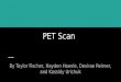 PET Scan By Taylor Fischer, Hayden Howrie, Desirae Reimer, and Kassidy Urichuk