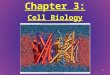 Chapter 3: Cell Biology 1Unit 1. III. Plasma Membrane Terminology –Intracellular: (Intra- Inside) inside the cell –Extracellular: (Extra- Outside) outside