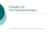 Chapter 15: The Special Senses J.F. Thompson, Ph.D. & J.R. Schiller, Ph.D. & G. Pitts, Ph.D