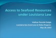 Melissa Trosclair Daigle Louisiana Sea Grant Law & Policy Program May 28, 2010