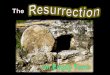“Remember that Jesus Christ, of the seed of David, was raised from the dead according to my gospel,” 2 Tim. 2:8 Resurrection = a standing up again, raised