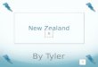 New Zealand By Tyler The New Zealand flag Information about New Zealand and what the stars on the New Zealand flag mean The official language is Maori