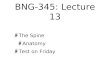 BNG-345: Lecture 13 The Spine Anatomy Test on Friday