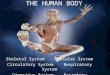 Skeletal System Muscular System Circulatory System Respiratory System Digestive System Excretory System THE HUMAN BODY