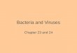 Bacteria and Viruses Chapter 23 and 24. Bacteria are bigger than viruses Viruses can infect bacteria –bacteriophage Bacteria grow in colonies We culture