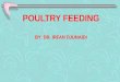 POULTRY FEEDING BY: DR. IRFAN DJUNAIDI POULTRY FEEDING Facts should be considered when computing ration for poultry: 1-Feed must contain all essential