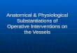 Anatomical & Physiological Substantiations of Operative Interventions on the Vessels