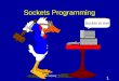 1 Netprog: Sockets API Sockets Programming Socket to me!
