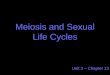 Meiosis and Sexual Life Cycles Unit 3 – Chapter 13