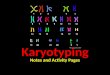 Karyotyping Notes and Activity Pages. ●Chromosomal mutations… – Additional, missing, or damaged chromosomes cause several human genetic disorders. – One