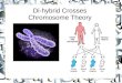 Di-hybrid Crosses Chromosome Theory. Chromosome Theory of Inheritance Walter Sutton:  Proposed the theory in which genes were carried on chromosomes