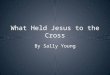 What Held Jesus to the Cross By Sally Young. Text 910-5551 What do you think held Jesus to the Cross? What truly Held him on the Cross?