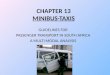 CHAPTER 13 MINIBUS-TAXIS GUIDELINES FOR PASSENGER TRANSPORT IN SOUTH AFRICA A MULTI MODAL ANALYSIS
