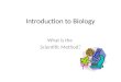 Introduction to Biology What is the Scientific Method?