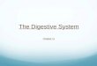 The Digestive System Chapter 11. Introduction to Digestive System AKA: Digestive tract, gastrointestinal tract, GI tract, Alimentary canal, gut System