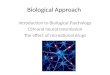 Biological Approach Introduction to Biological Psychology CSN and neurotransmission The effect of recreational drugs