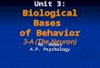 Unit 3: Biological Bases of Behavior 3-A (The Neuron) Mr. Debes A.P. Psychology