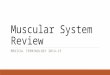 Muscular System Review MEDICAL TERMINOLOGY 2014-15