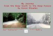 My Journey From the Deep South to the Deep Freeze by Karen Rhoades The Carriage Road to My Great Grandma’s House Rocky Point, NC The Road to My House