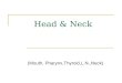 Head & Neck (Mouth, Pharynx,Thyroid,L.N.,Neck). Mouth & Pharynx anatomy