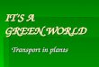 IT’S A GREEN WORLD Transport in plants. Transpiration - recap  Private life of plants - xylem, phloem animation Private life of plants - xylem, phloem