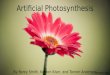 Artificial Photosynthesis By Rorey Smith, Kenton Kiser, and Tanner Anderson ohtoptens.com