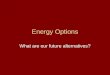 Energy Options What are our future alternatives?