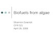 Biofuels from algae Shannon Ewanick CFR 521 April 29, 2008