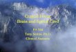 Cranial Fossa: Brain and Spinal Cord PA 544 Tony Serino, Ph.D. Clinical Anatomy