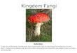 Kingdom FungiDefinition: Fungi are multicellular heterotrophs that receive their food by absorbing the molecules around them. Fungi are not plants; they