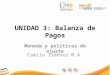 UNIDAD 3: Balanza de Pagos Moneda y políticas de ajuste Camilo Jiménez M.A