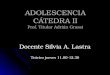 ADOLESCENCIA CÁTEDRA II Prof. Titular Adrián Grassi Docente Silvia A. Lastra Teórico jueves 11.00-12.30