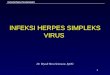 HERPES VIRUS .ppt