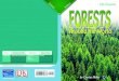 Forests Around the World