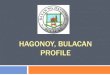 Hagonoy Bulacan Profile