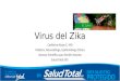 Virus Del Zika 4-2-16 STotal-2