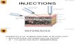1013b Injections.ppt