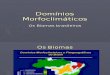 dominios_morfoclimaticos (1).pps