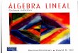 Algebra Lineal (8th Edition). v.español. (2004)