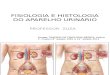 Fisiologia e Histologia – Sistema Excretor
