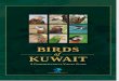 Birds of Kuwait