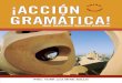 Accion Gramatica New Advanced Spanish Grammar