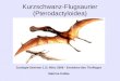 Kurzschwanz-Flugsaurier (Pterodactyloidea) Zoologie-Seminar 1./2. März 2008 - Evolution des Tierfluges Sabrina Kobbe