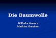 Die Baumwolle Wilhelm Amann Mathias Gmeiner. Übersicht Geschichte der Baumwolle Geschichte der Baumwolle Anbau und die Pflanze Anbau und die Pflanze Baumwollprodukte