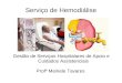 Serviço de Hemodiálise Gestão de Serviços Hospitalares de Apoio e Cuidados Assistenciais Profª Meiriele Tavares