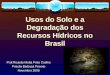 Usos do Solo e a Degradação dos Recursos Hídricos no Brasil Prof.Ricardo Motta Pinto Coelho Priscila Barbosa Peixoto Novembro 2006